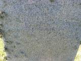 image of grave number 762963